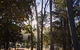Bright Cabin Park - thumb 3