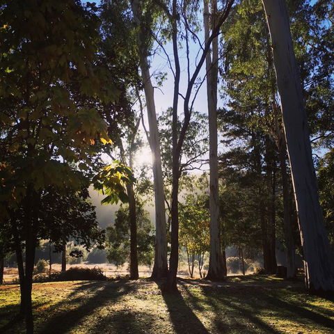 Bright Cabin Park - Accommodation ACT 3