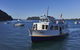 Cape Mackerel Cabin With Magic Palm Beach & Pittwater Views - thumb 2