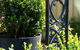 Central Luxe Villa 149 - thumb 2