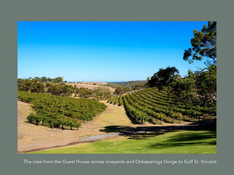 Chapel Hill Winery Guest House - Accommodation ACT 1