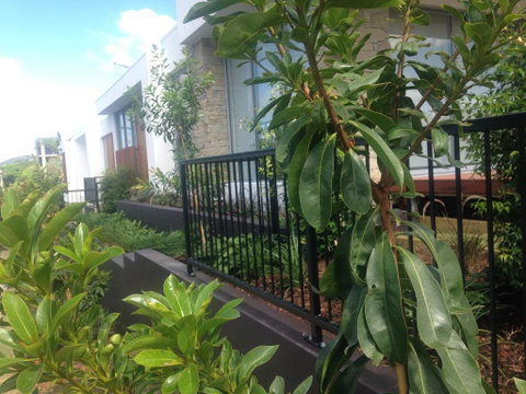 City Pads 2 - Accommodation ACT 0