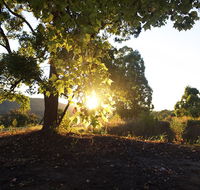 Clarendon Forest Retreat - Accommodation ACT