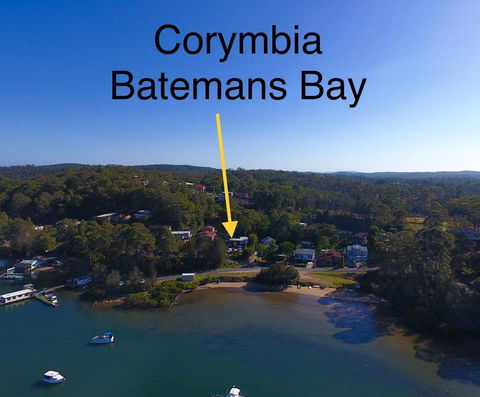 Corymbia Batemans Bay - Accommodation ACT 1