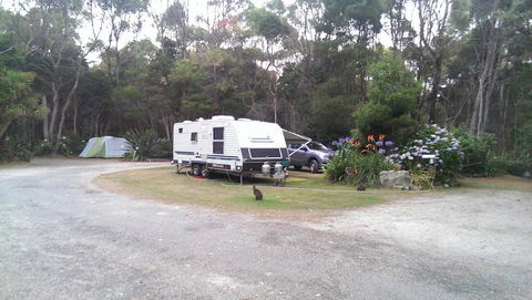 Crayfish Creek Van & Cabin Park - Accommodation ACT 0