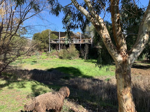 Cullen House - Accommodation ACT 1