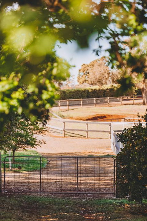 Dalblair Bed & Breakfast - Accommodation ACT 3