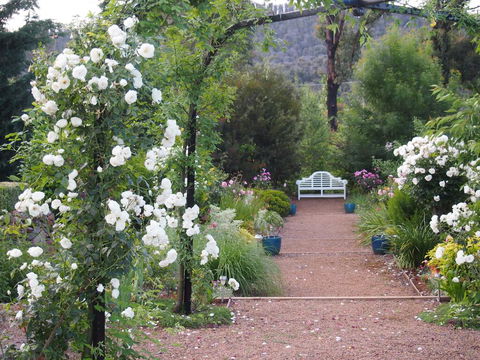 Delderfield Cottages - Accommodation ACT 0
