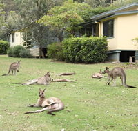 Depot Beach Cabins - Accommodation ACT