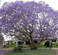 Ecotel Narooma - Accommodation ACT