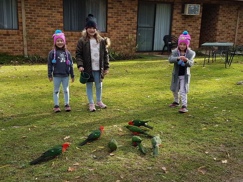 Eildon Parkview Motor Inn - Accommodation ACT 1