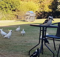 Eildon Parkview Motor Inn - Accommodation ACT