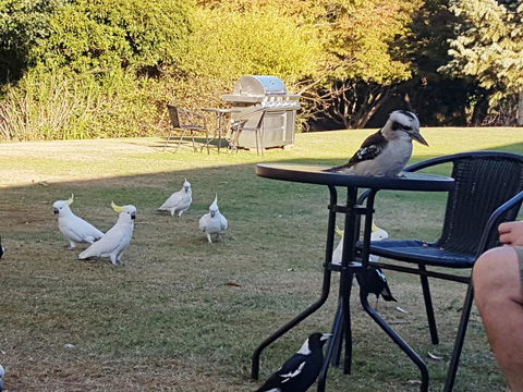 Eildon Parkview Motor Inn - Accommodation ACT 0