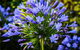 Elfin Hill Vineyard Accommodation - thumb 1