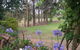 Elfin Hill Vineyard Accommodation - thumb 2