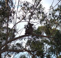 Escape to the Country - Enjoy the firepit or explore magical Bunya Mountains - Accommodation ACT
