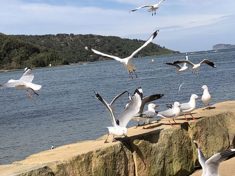 Ettalong Beach Motel - Accommodation ACT 1