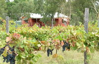 Fergies Hill Spa Cottage  Granite Ridge Wines