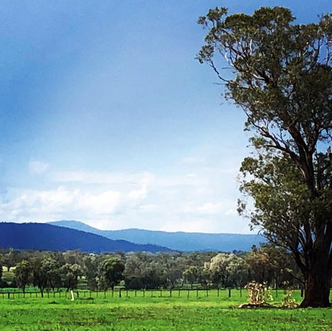 Fourjay Farmstay - Accommodation ACT 0