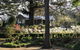 Foxglove Gardens - thumb 3