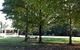 Goldberryaccommodation - thumb 2
