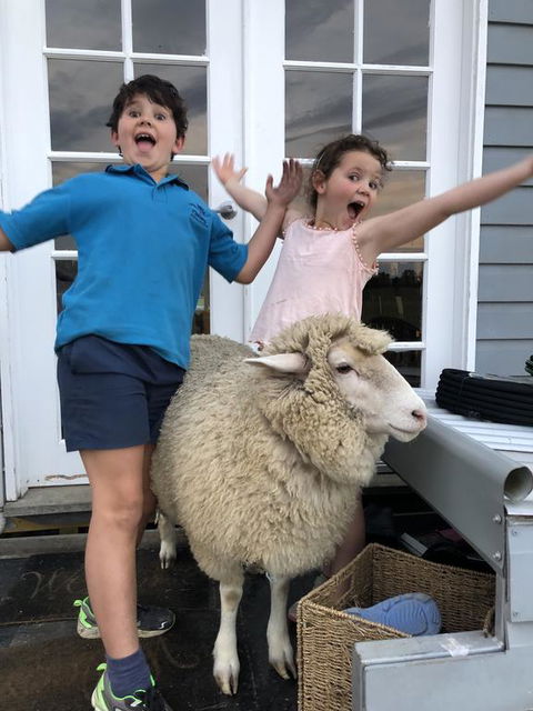 Jackaleah Farm Stay - Accommodation ACT 2