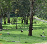 JAN'S ART STUDIO AT ASHBY RISE - Accommodation ACT