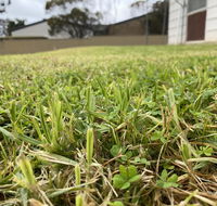 Karoonda Accommodation - Accommodation ACT