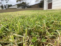 Book Karoonda Accommodation Vacations Accommodation ACT Accommodation ACT