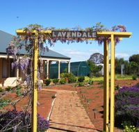 Lavendale Farmstay and Cottages York - Accommodation ACT