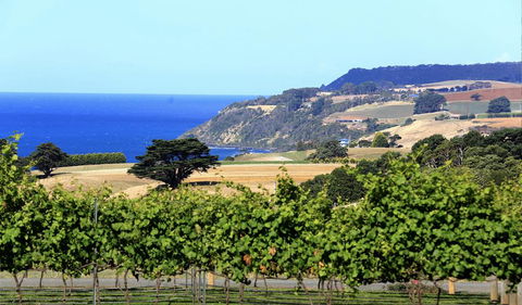Mallavale Farm, Boat Harbour - Accommodation ACT 0