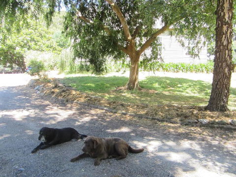 Molenda Lodge Farm Let - Accommodation ACT 3