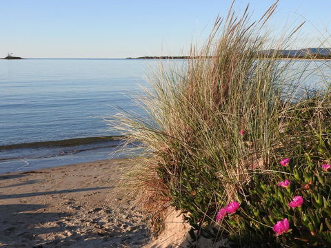 Moomba Holiday And Caravan Park - Accommodation ACT 2