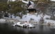 Moonbah Ski Lodge - thumb 1