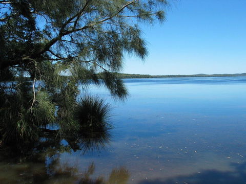Myall River Magic - Accommodation ACT 1