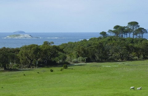 Cosy Corner Sea View Apartments - Accommodation ACT 7
