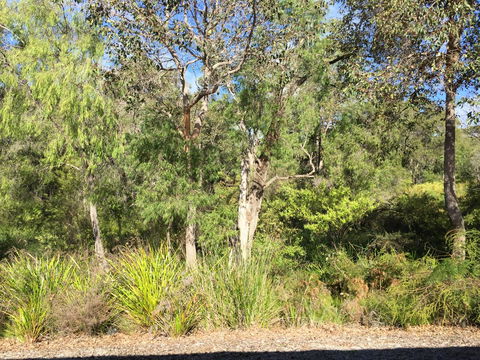 Cape Villas Dunsborough Unit 2 - Accommodation ACT 26
