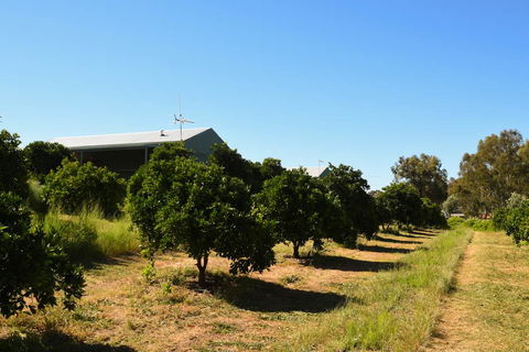 Swan Valley Sisters - Accommodation ACT 29