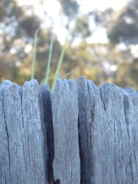 Swan Valley Sisters - Accommodation ACT 28