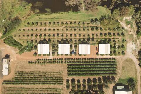 Swan Valley Sisters - Accommodation ACT 0