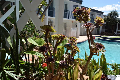 Seashore Memories - Sleeps 3 - Accommodation ACT 14