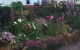 Lotti's House - thumb 19