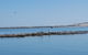 Kalbarri Seaview Villas - thumb 33