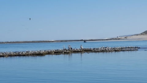 Kalbarri Seaview Villas - Accommodation ACT 33