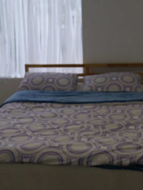 DIANELLA Budget Rooms Happy Place To Stay - Accommodation ACT 24