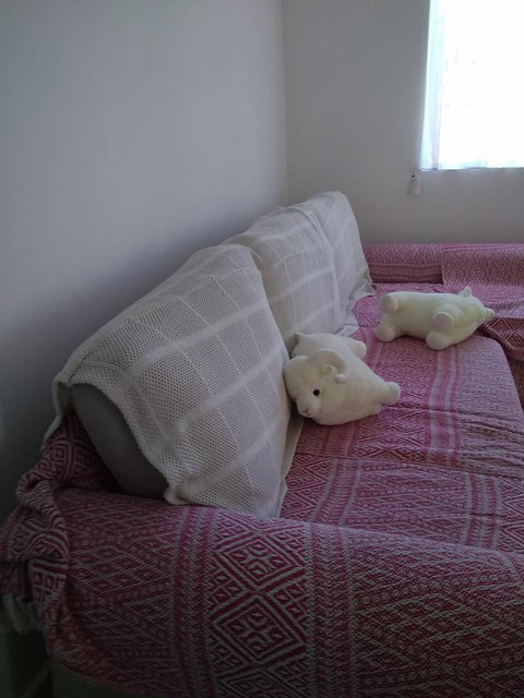 DIANELLA Budget Rooms Happy Place To Stay - Accommodation ACT 29