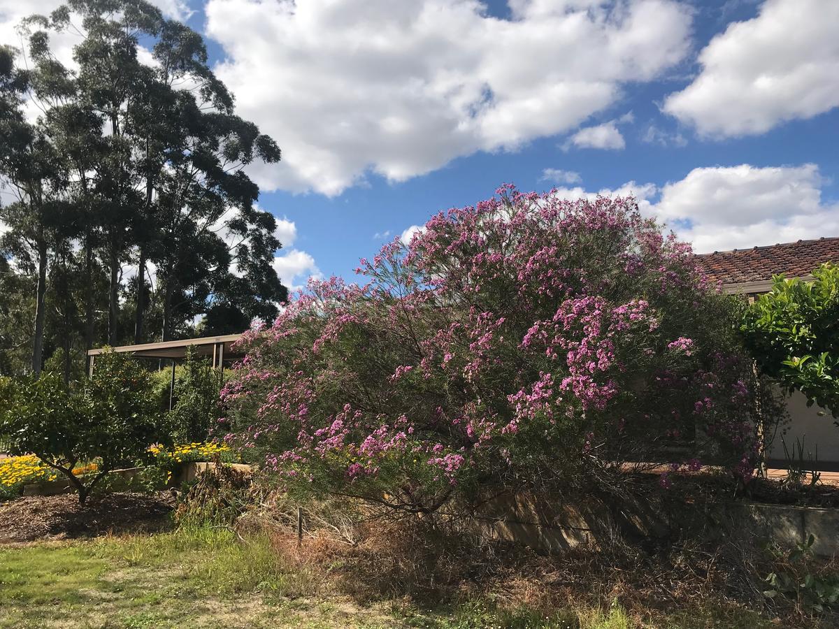  Accommodation ACT