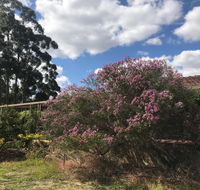 Cockburn Retreat Home  - Accommodation ACT