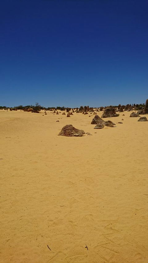 The Bothy Lancelin Family Retreat - Accommodation ACT 35