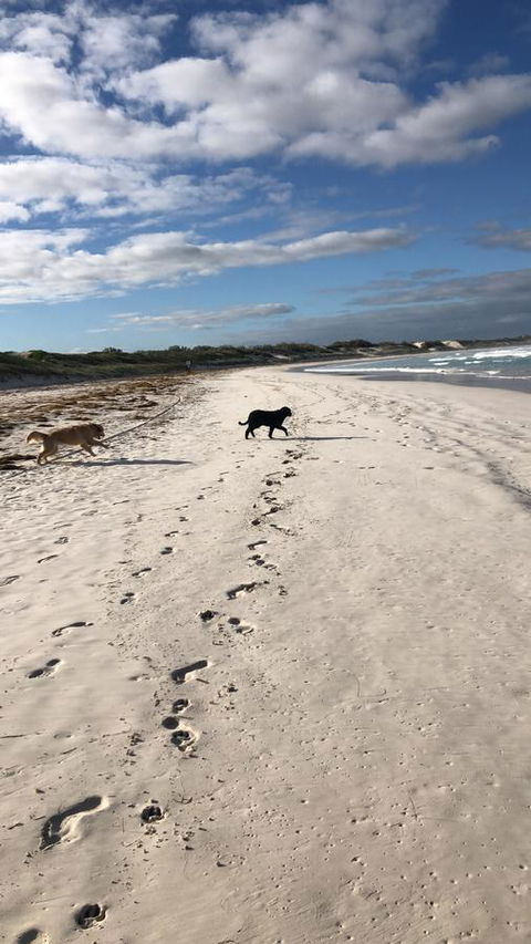 The Bothy Lancelin Family Retreat - Accommodation ACT 30